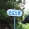 おばけ坂