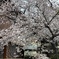 4月8日