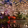 打吹公園　羽衣池ライトアップ
