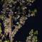 P1042063