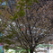 P1042068