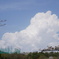 季節外れの入道雲