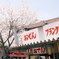 桜まつり