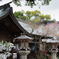 寺