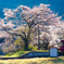 朝陽の山田