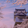 古城の桜