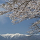 雪残り 晴