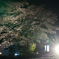 夜桜　美濃太田行き