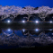 ‗yozakura:reflection