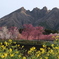根子岳