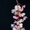 紅八重枝垂れ桜