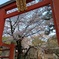 氷室神社にて