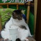 でーん!