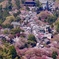 世界遺産吉野山