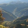 高尾