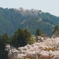 小仏城山から