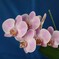 DC_N20250405 (79)