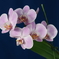 DC_N20250412 (126)