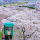 スロープカー