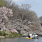 井の頭公園