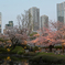 毛利庭園（六本木ヒルズ）