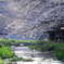 春の小川