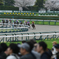 スクリーンに釘付け、、