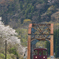 桜色と茶色