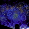夜空に花