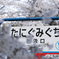 春の谷汲口
