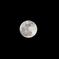 Pink Moon・・・