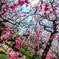 IMG20250320120415