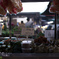 Fresh market in Penang 