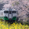 小湊鉄道の春