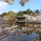 桜の額縁