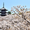 百塔巡拝　仁和寺