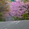 いつか来た道～