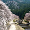 桜並木