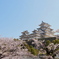 姫路城②