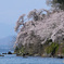 海津大崎　その３
