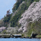 海津大崎　その４