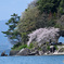 海津大崎　その５
