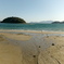 島巡り〜6