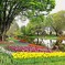 緑に囲まれた花の苑