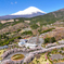 Mt. Fuji 冨士霊園・桜 2025年4月16日_MAVIC3_0039_n