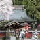 雨の参拝