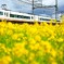 アーバンライナーで行こう