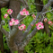 DSC00138. 静謐