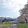 2025.4.17_中山河川公園1