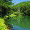 緑色づく夏の湖畔